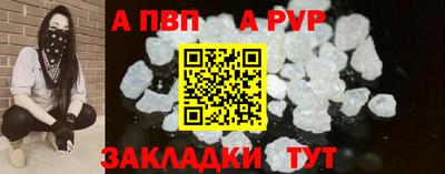стаф Новокубанск