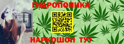 круглые Новозыбков