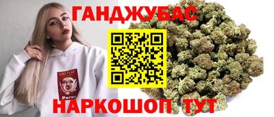 стаф Новокубанск
