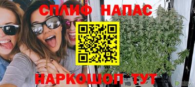 стаф Новокубанск