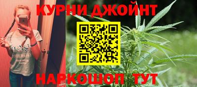 стаф Новокубанск