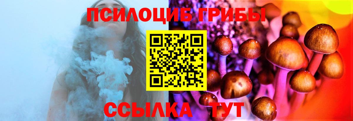 Владимир  Галлюциногенные грибы прущие грибы  где можно купить   Вход с VPN 